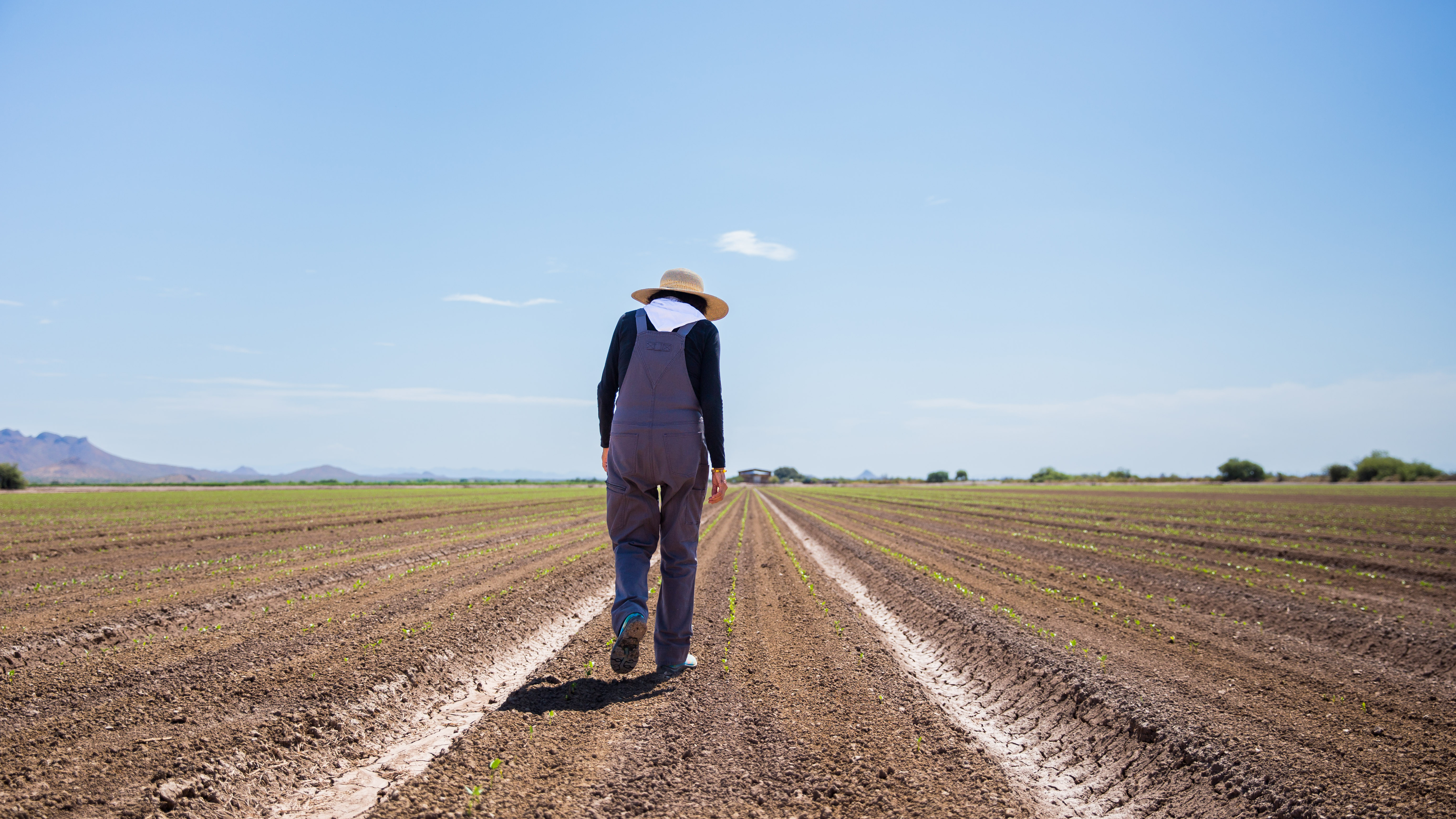 Check for Women’s Work: The Untold Story of America’s Female Farmers airing on a public television station near you!